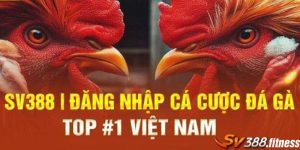 Hướng Tân Thủ Cách Đăng Nhập SV388 Nhanh Chuẩn Nhất 2024