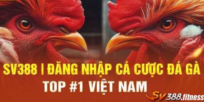 Hướng Tân Thủ Cách Đăng Nhập SV388 Nhanh Chuẩn Nhất 2024