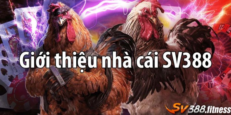 Giới thiệu căn bản về SV388